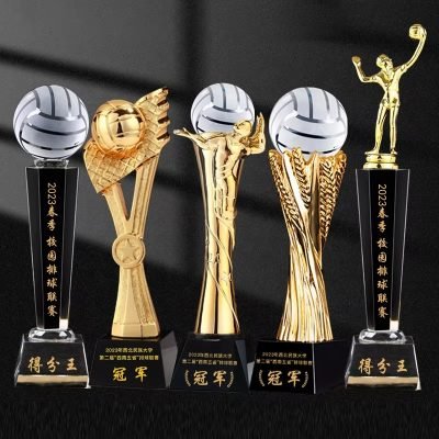 volleyball banquet awards​ 14-2