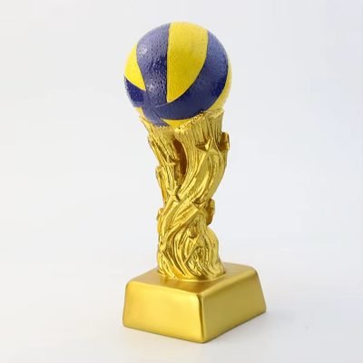 volleyball end of season award ideas​ 15-1
