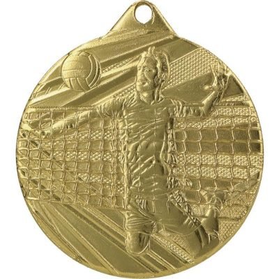volleyball gold medal​ 3-1