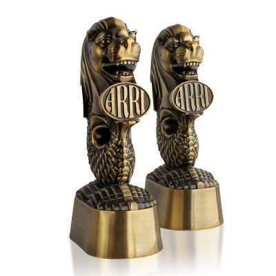 young lions fiction award​ 11-1